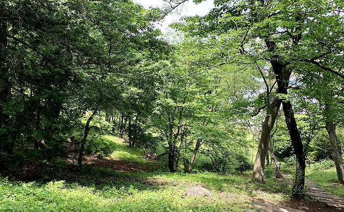 玉川学園なかよし公園