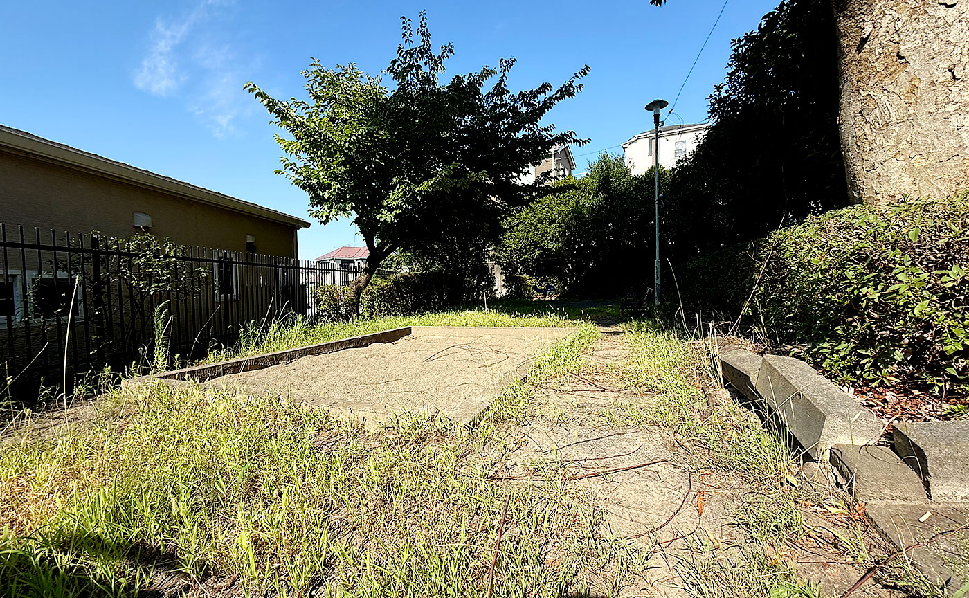 金井真之山脇公園