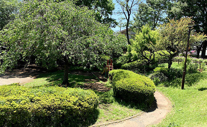 かしのみ公園