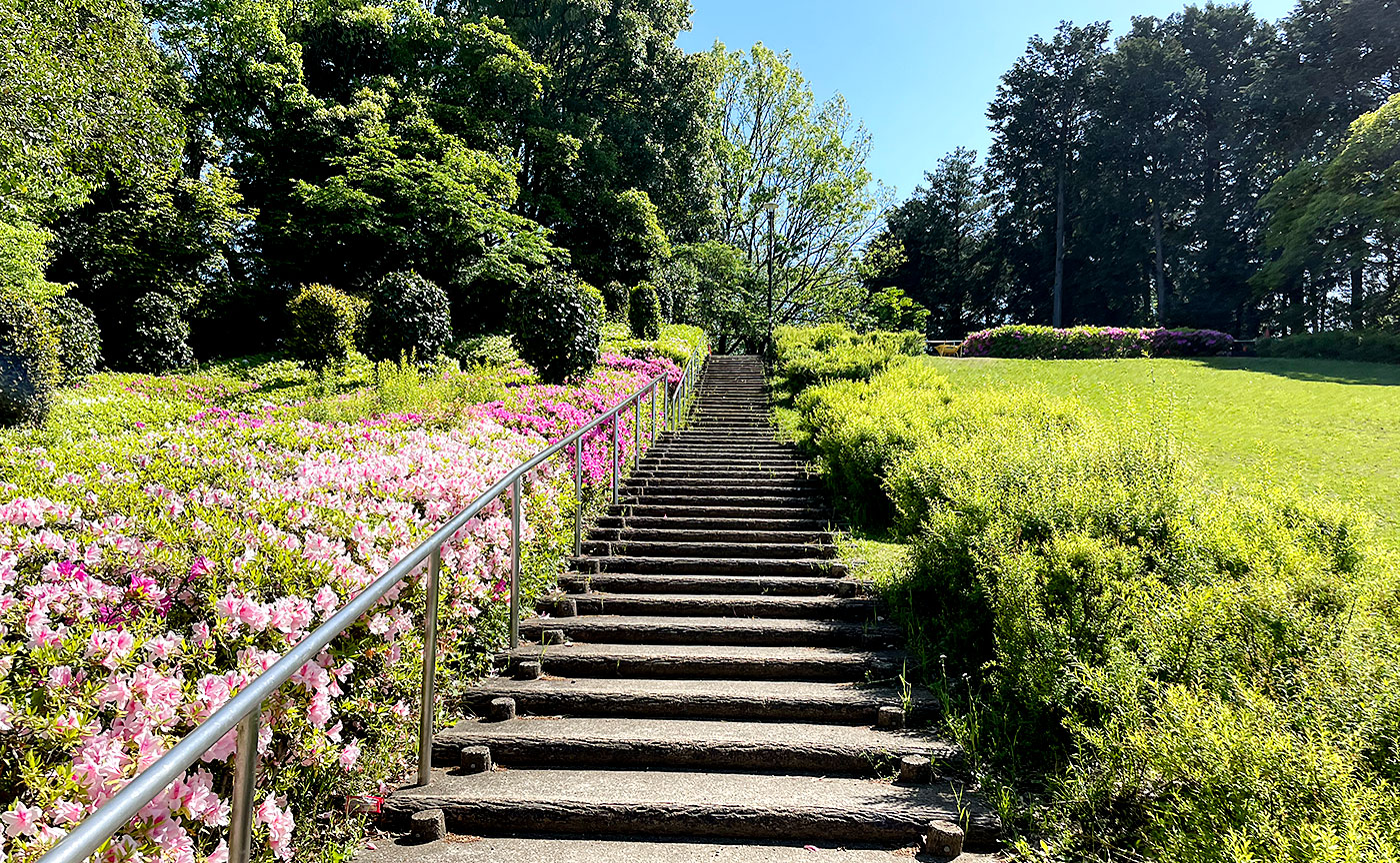 金井遊歩公園