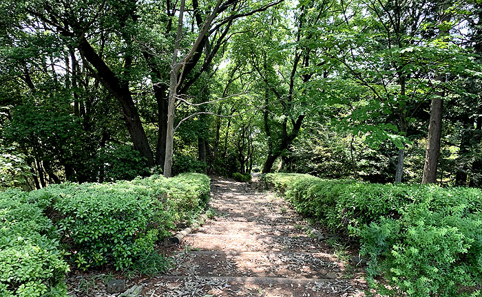 金井遊歩公園