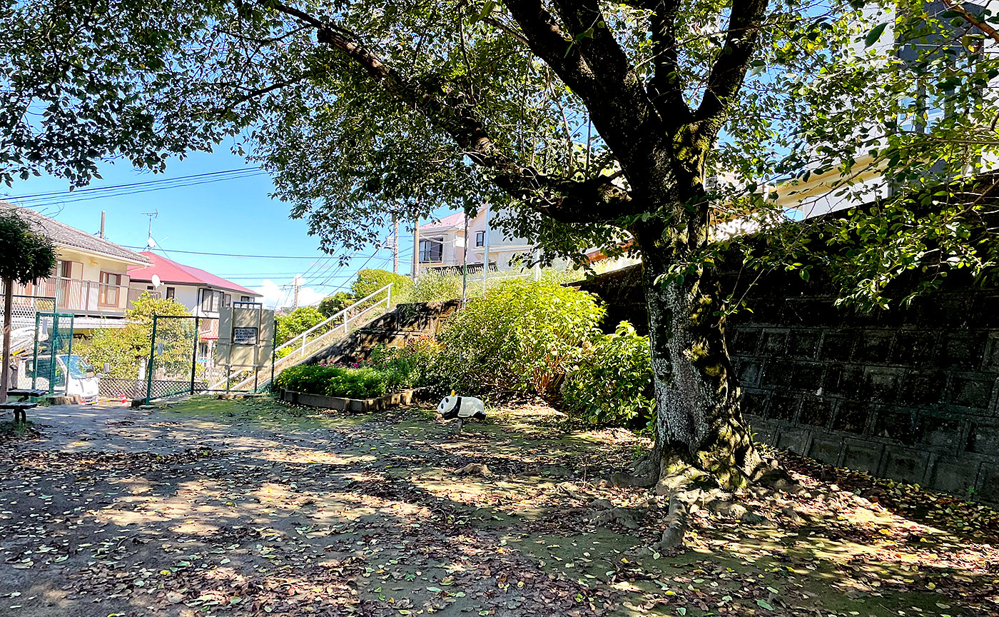 玉園台児童遊園