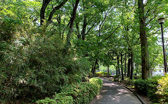 ゆうき山公園