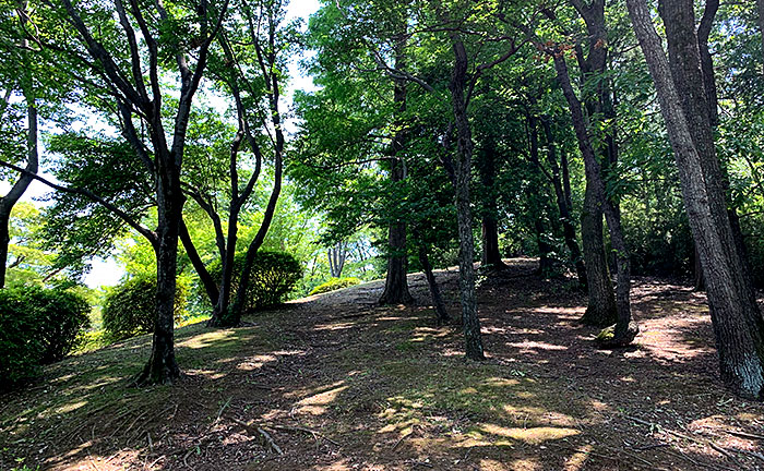 ゆうき山公園