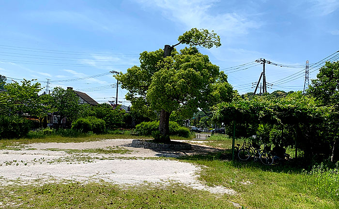 小野路下堤くすのき公園