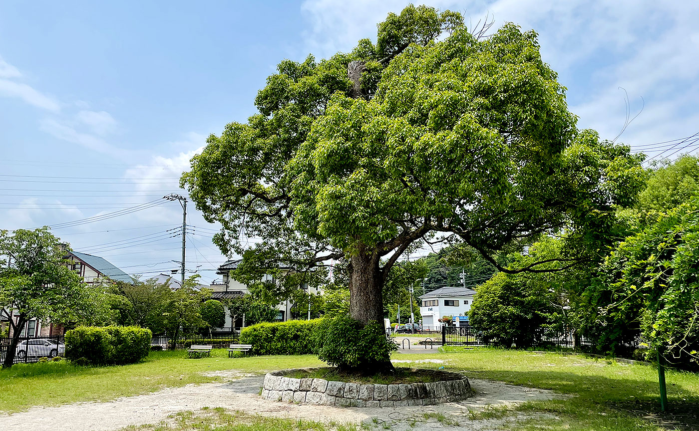 小野路下堤くすのき公園