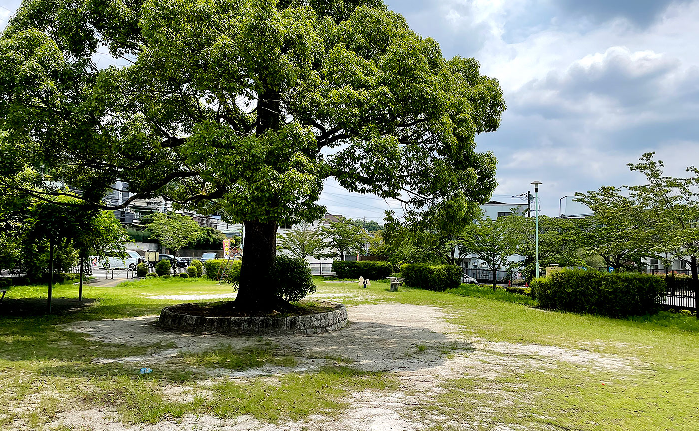 小野路下堤くすのき公園