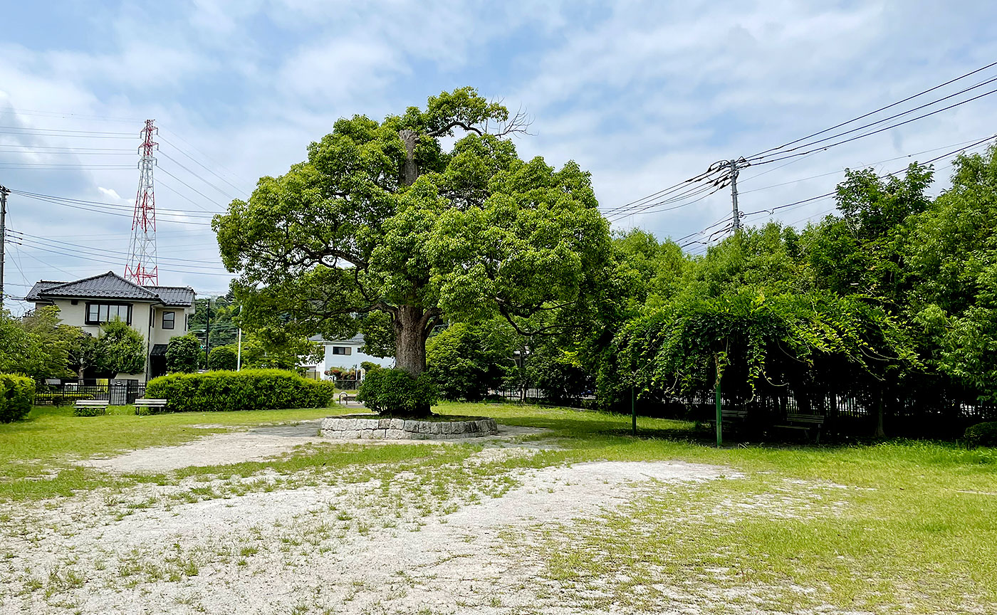 小野路下堤くすのき公園