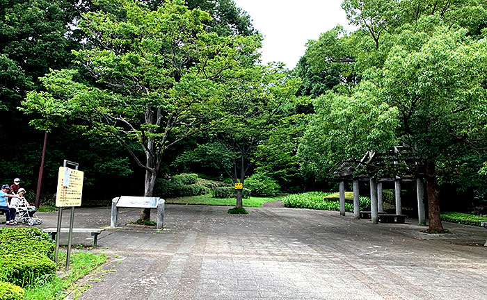 下小山田山王林公園