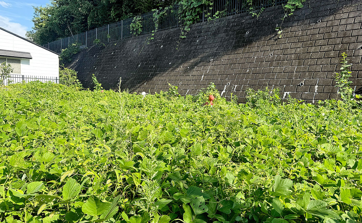 金井宮谷ツ公園