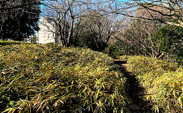 西山児童公園