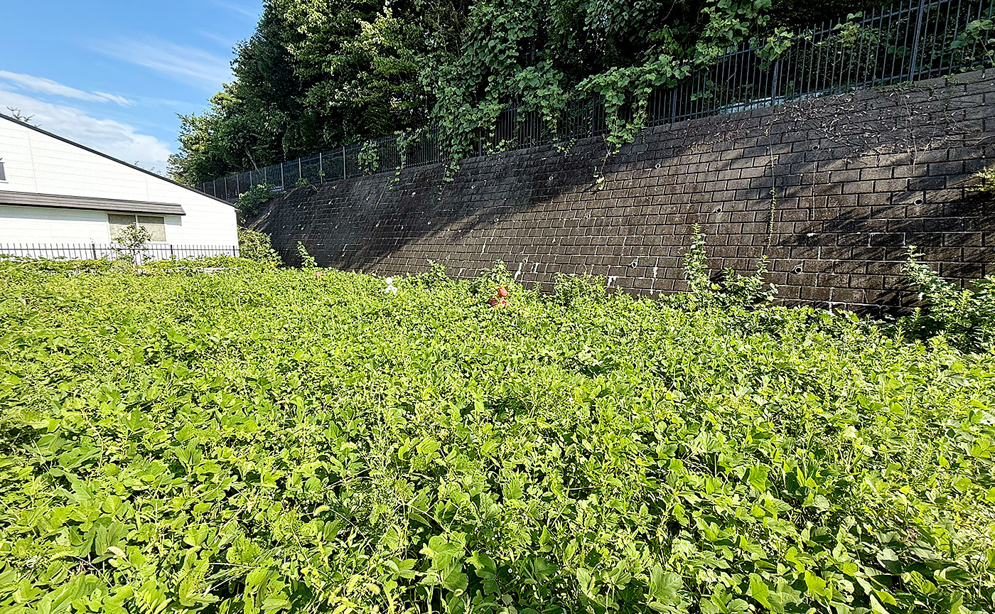 金井宮谷ツ公園