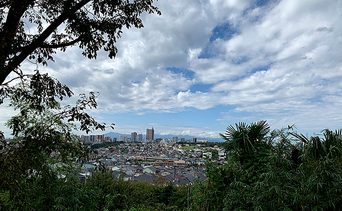 鞍掛の松公園