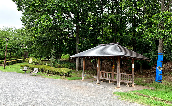 下小山田山王林公園