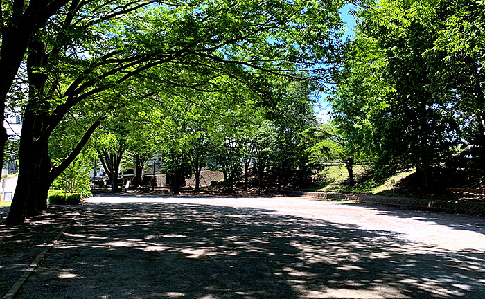 金森わさび田児童公園