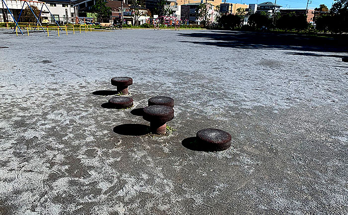 根岸からさわ公園