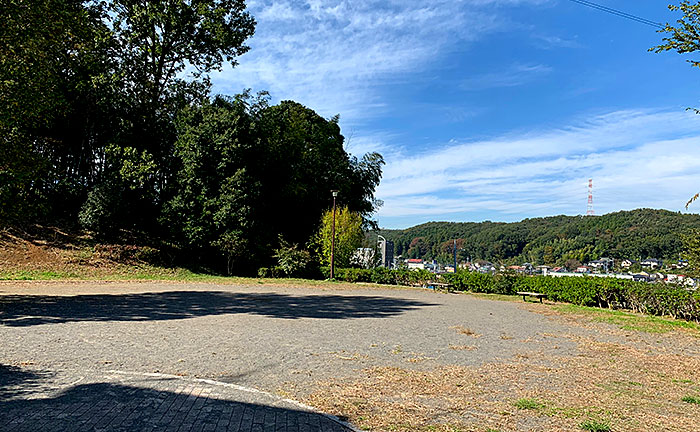 野津田山王あじさい公園