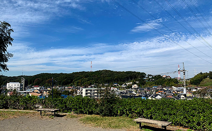 野津田山王あじさい公園