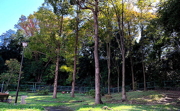 野津田野鳥児童公園