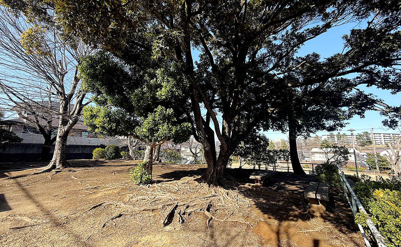 鶴川月の子児童公園