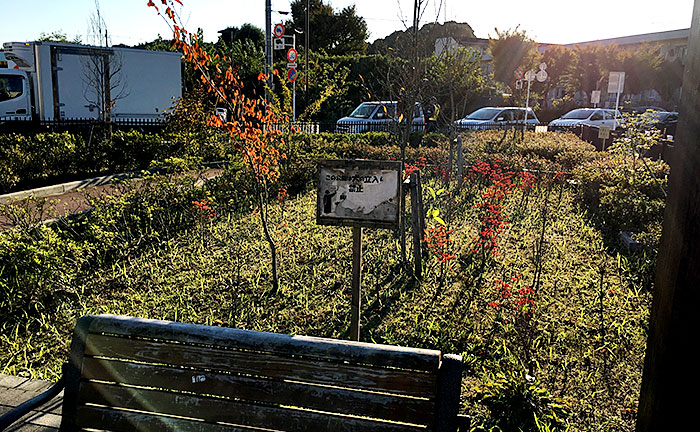 三輪耕地橋公園