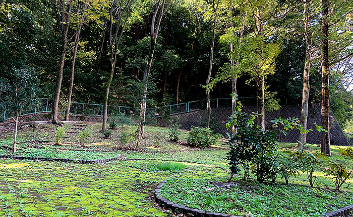 野津田野鳥児童公園