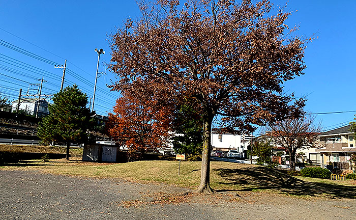 天神原公園