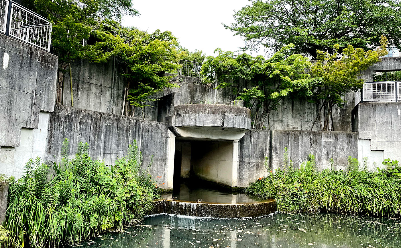 広袴公園