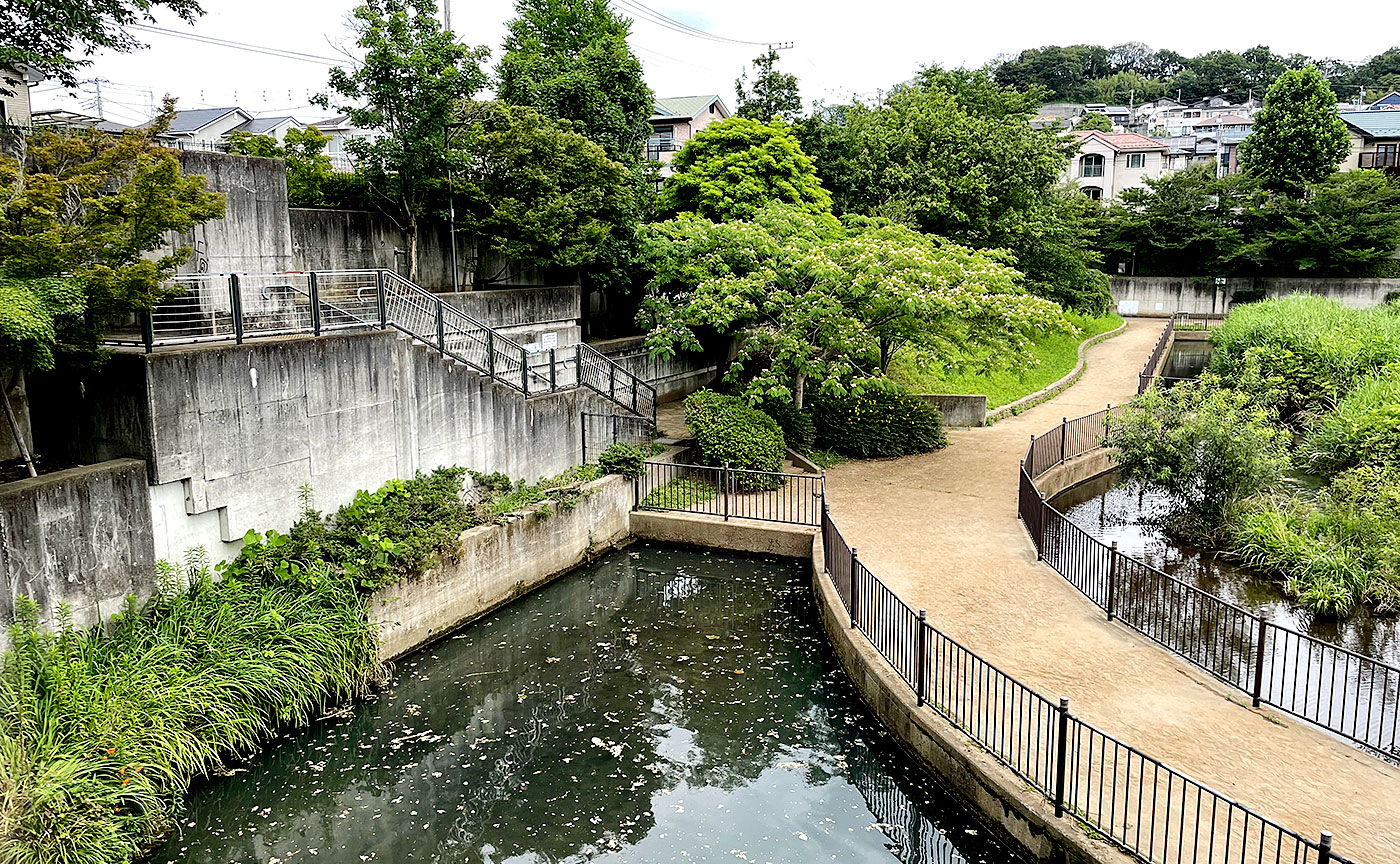 広袴公園