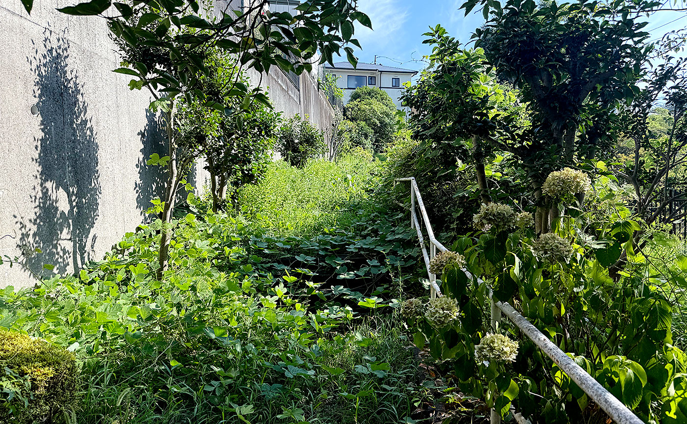 金井大ビャク第2公園