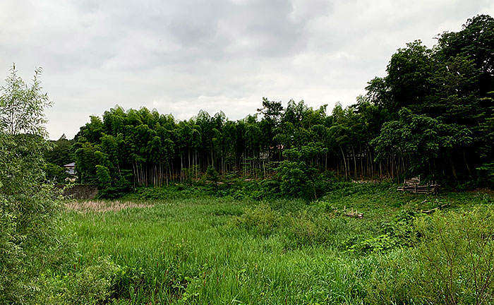 上小山田みつやせせらぎ公園