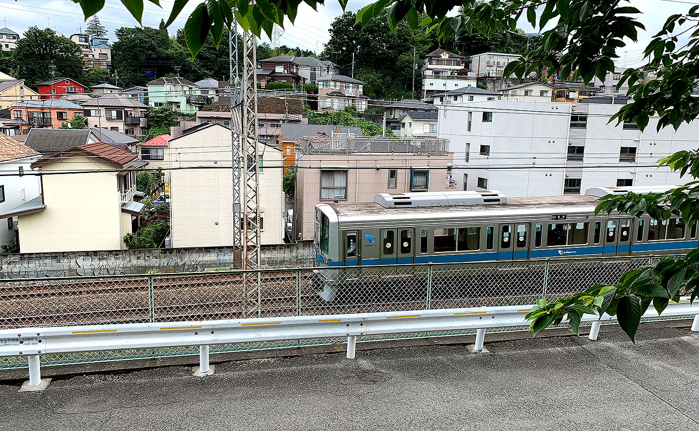 金井桑陽台さくら公園