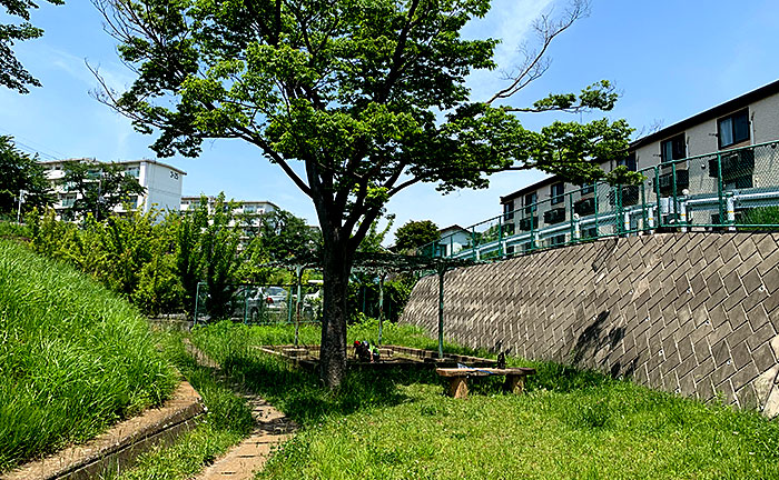 金井町日の出児童公園