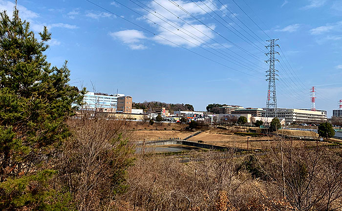 小山上沼ことひら公園