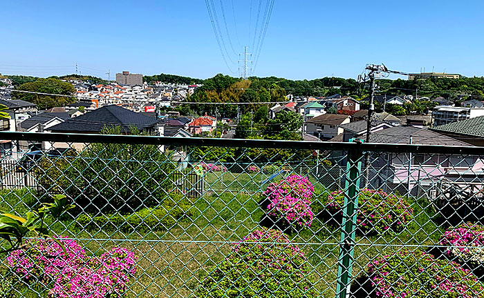 金井井戸窪梅の木公園