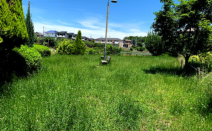 西田高木公園