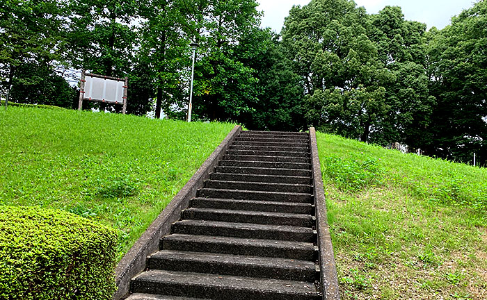 三輪ゆりの木通り公園