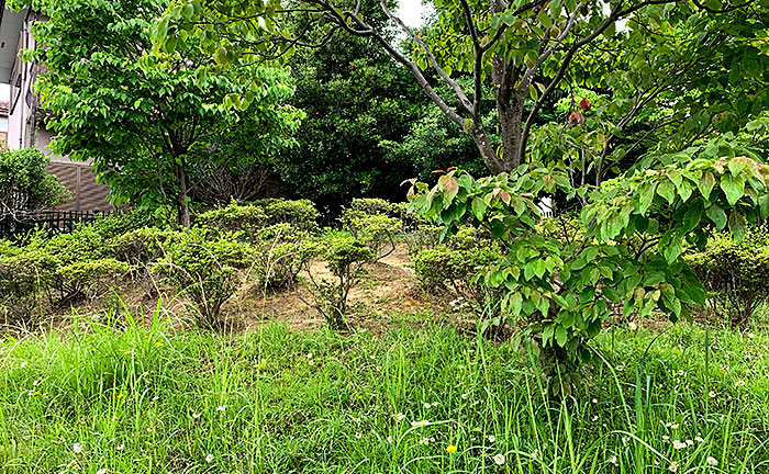 金井栗谷ハナミズキ公園