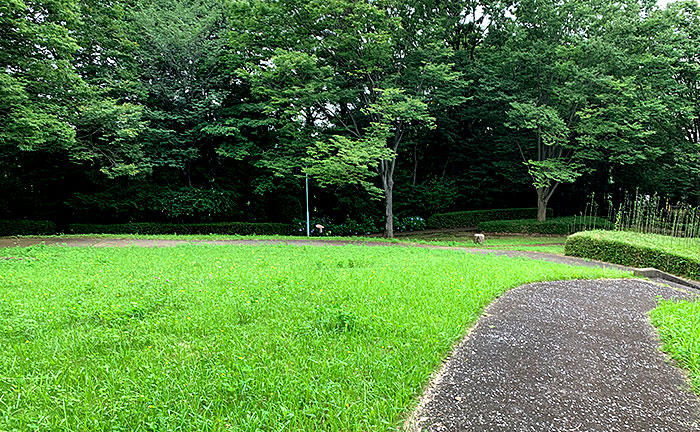 三輪ゆりの木通り公園