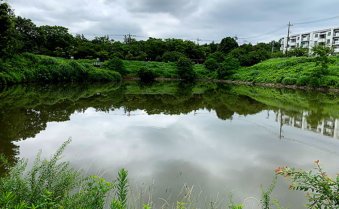 小山田桜台児童公園