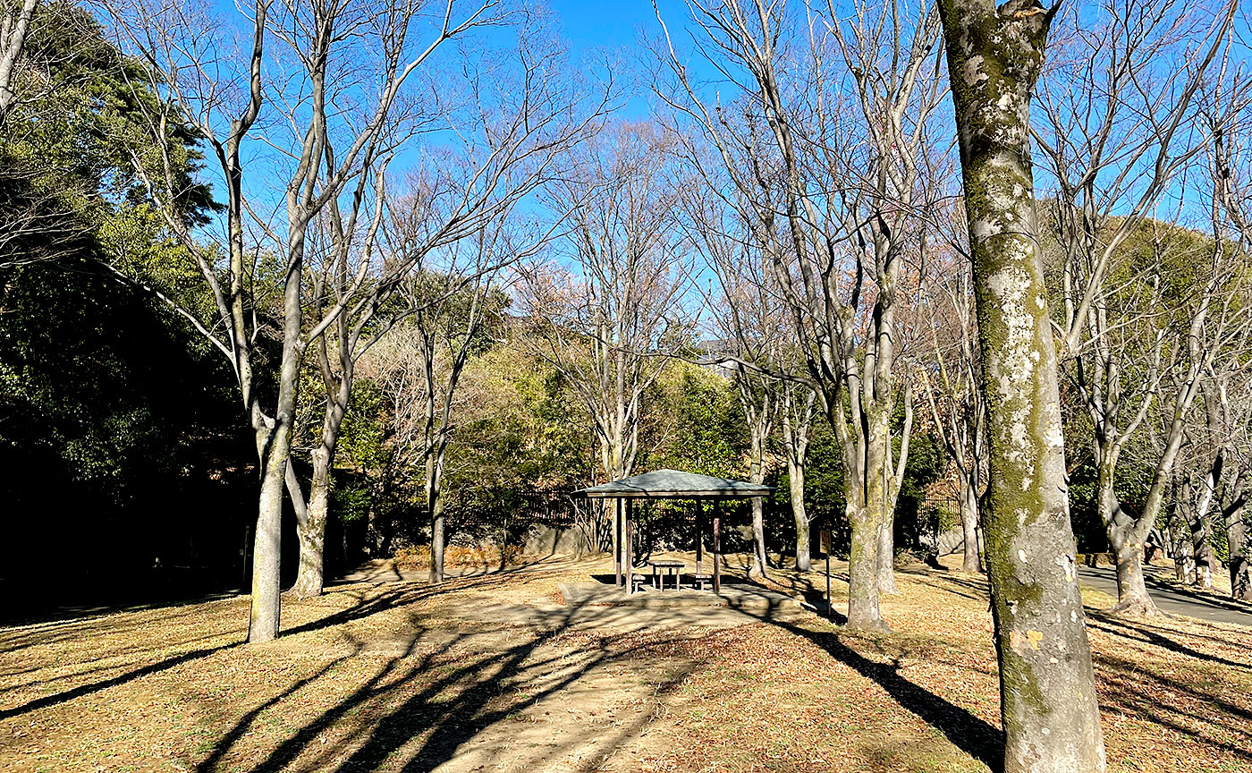 山王塚公園