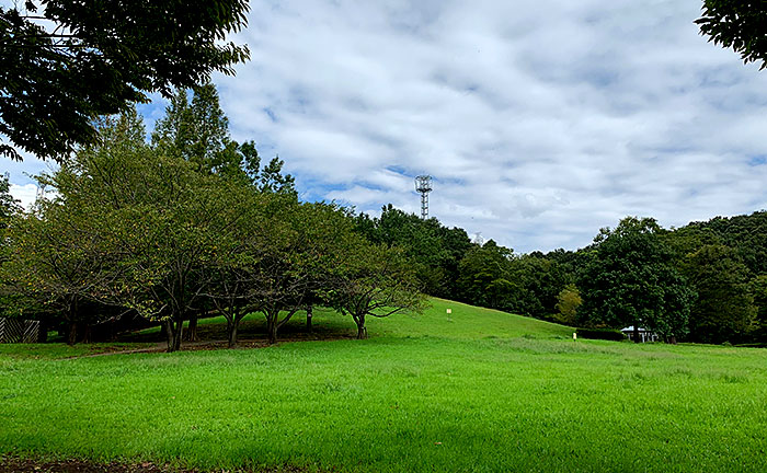 真光寺公園