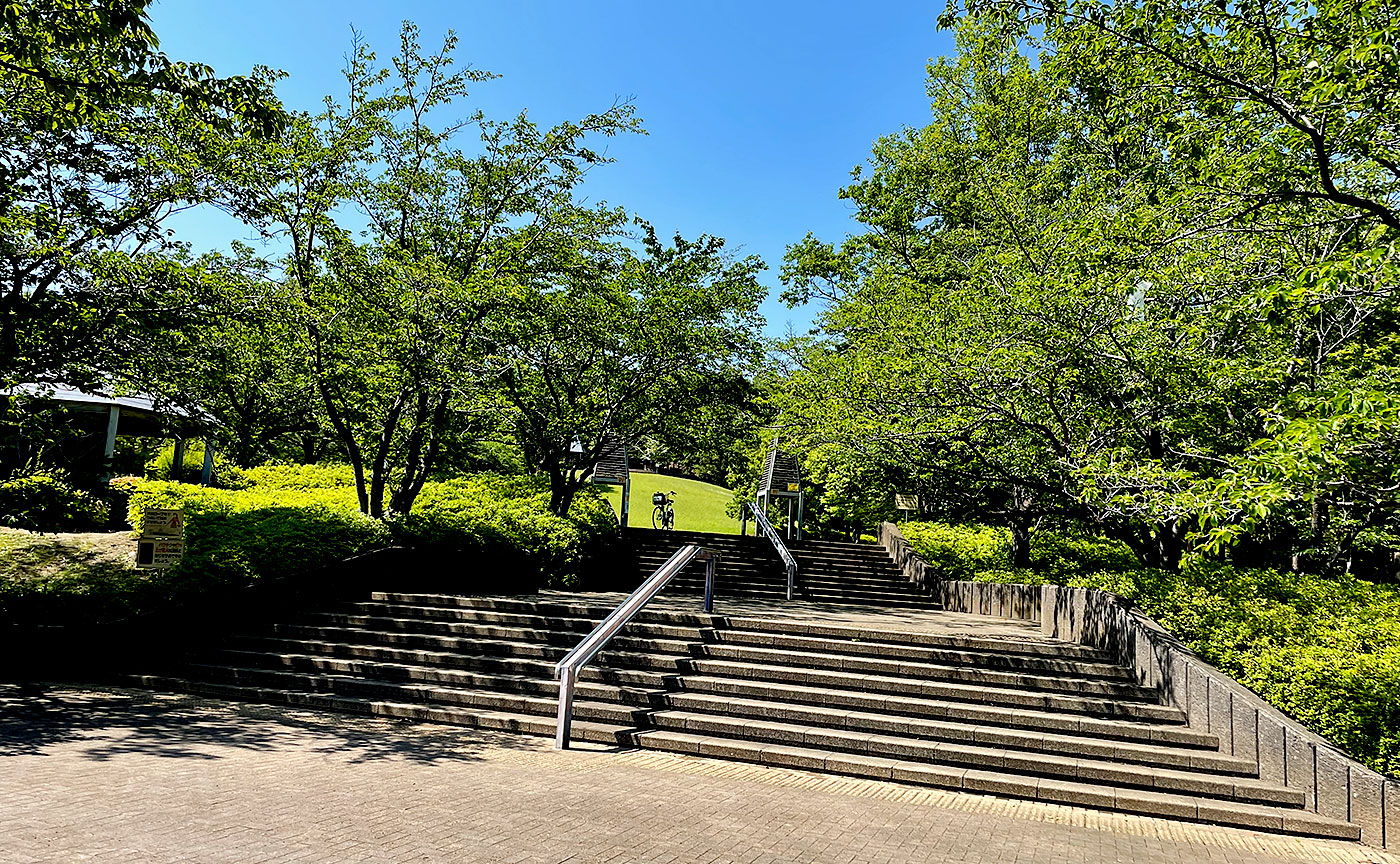 真光寺公園