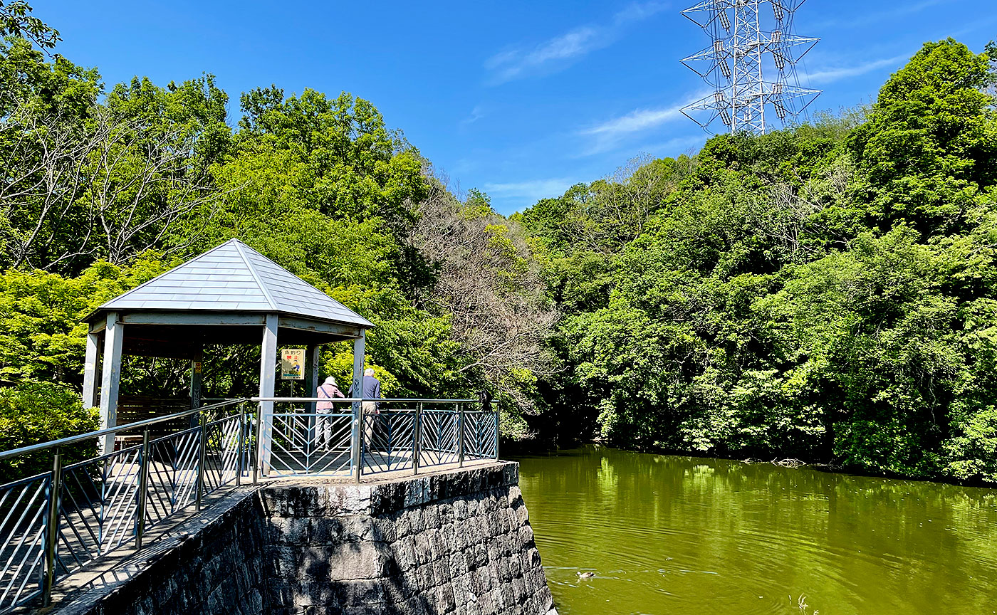 真光寺公園