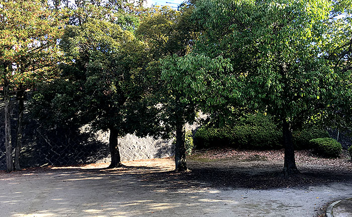 神閣寺公園