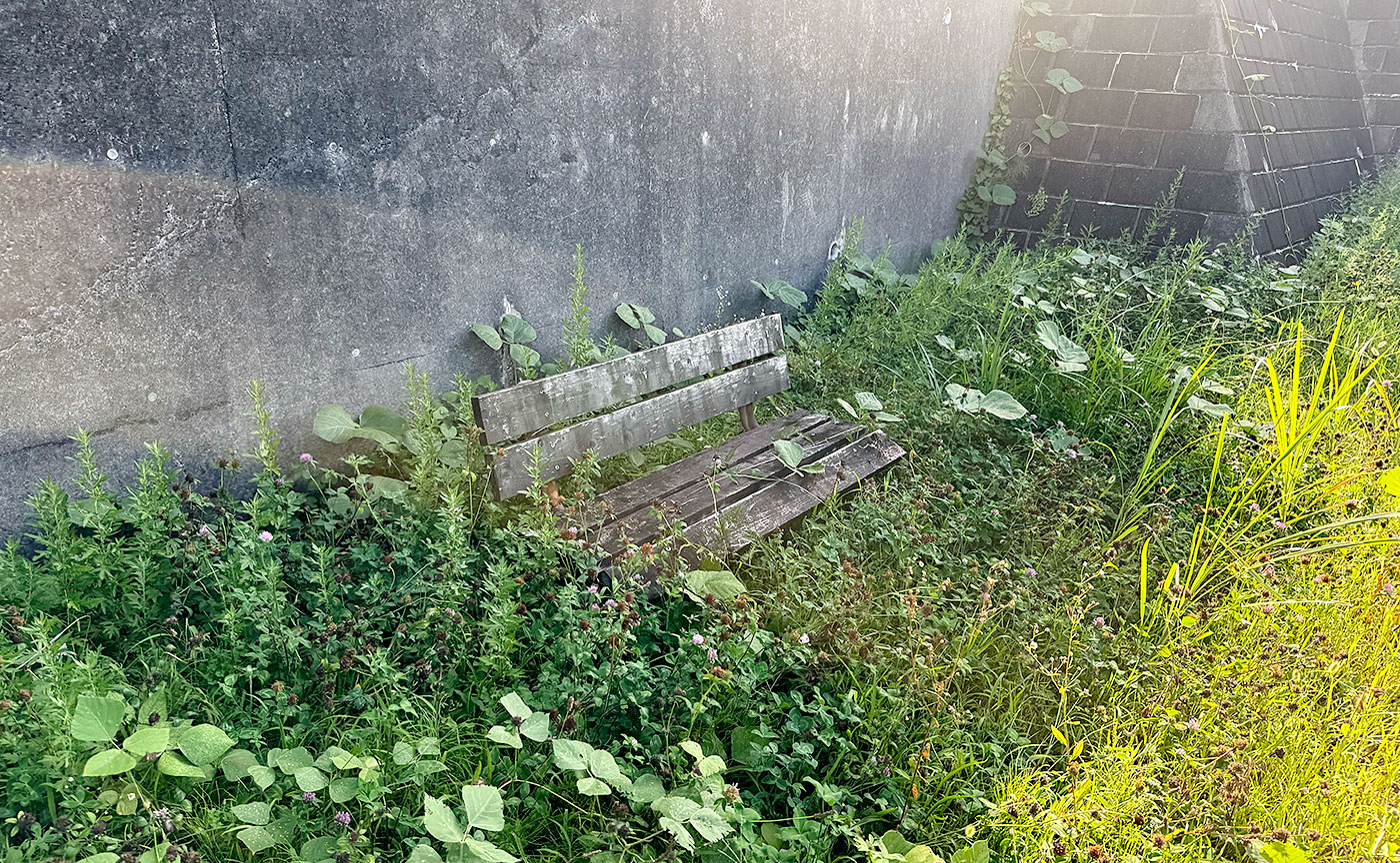 金井上木倉公園