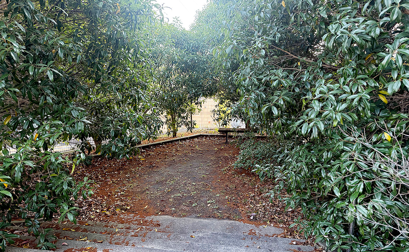 能ヶ谷あさひ公園