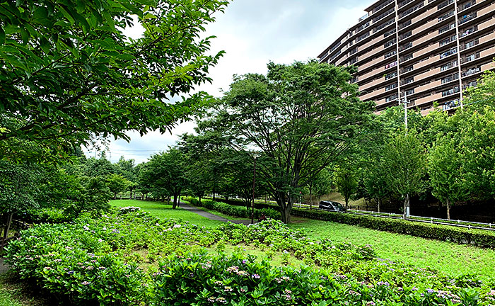 小山田端自然公園