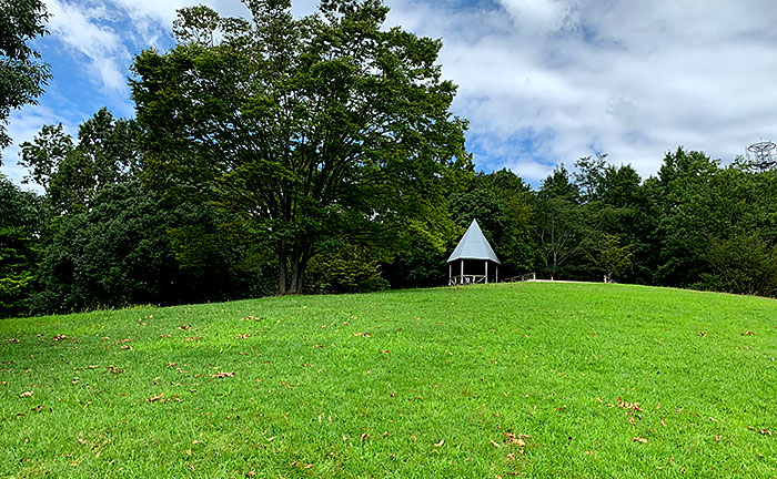 真光寺公園