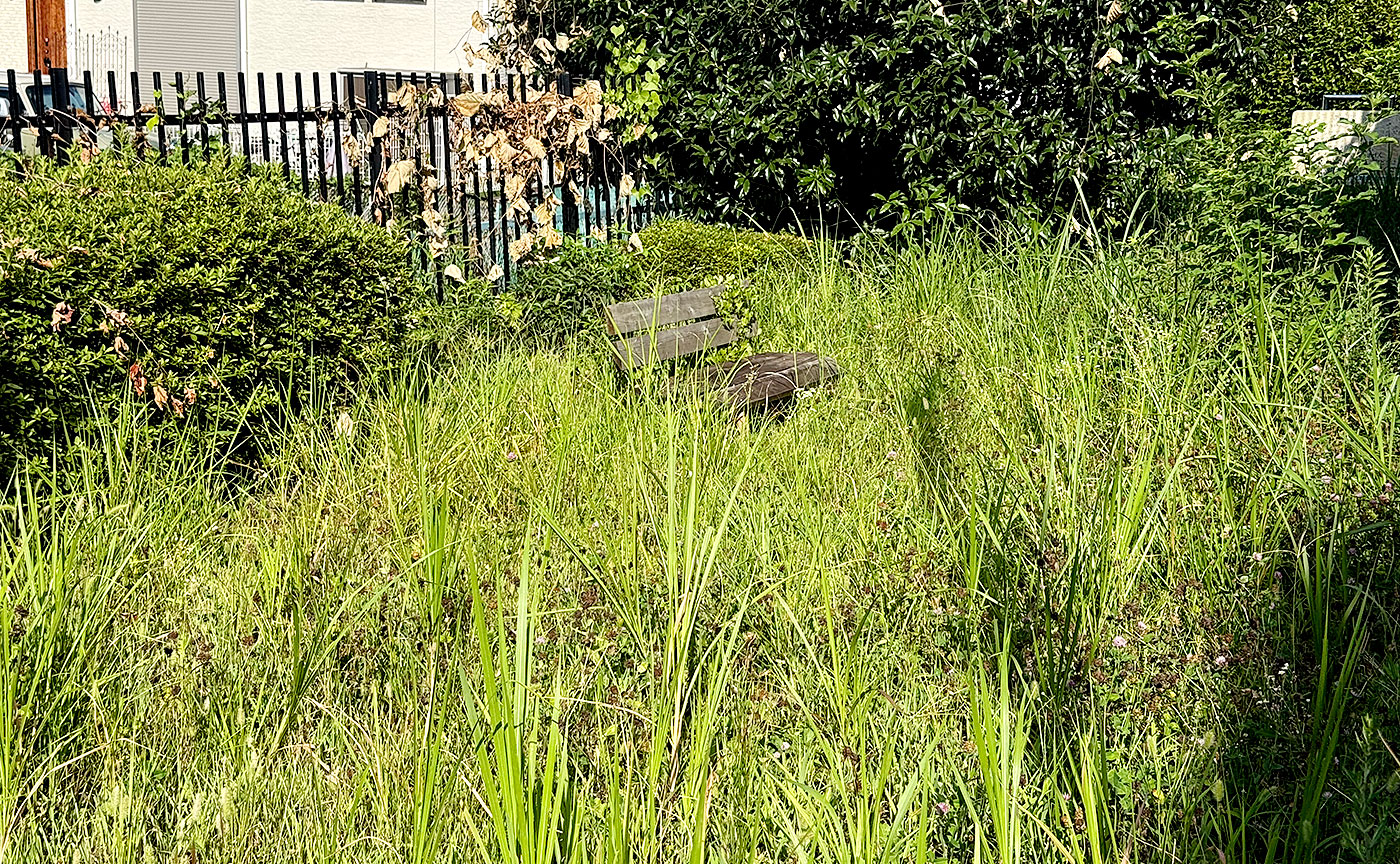 金井上木倉公園